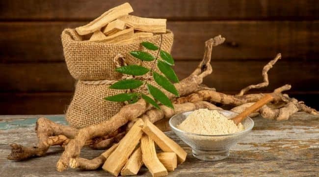 Eurycoma-Longifolia-Tongkat-Ali-Fertinox-Ingredient.jpg